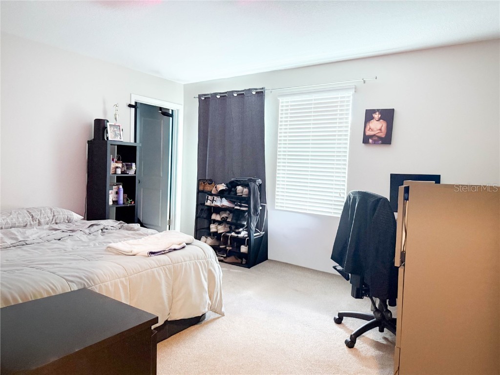 11911 Twilight Darner Place Riverview FL 33569 TB8452471 image16