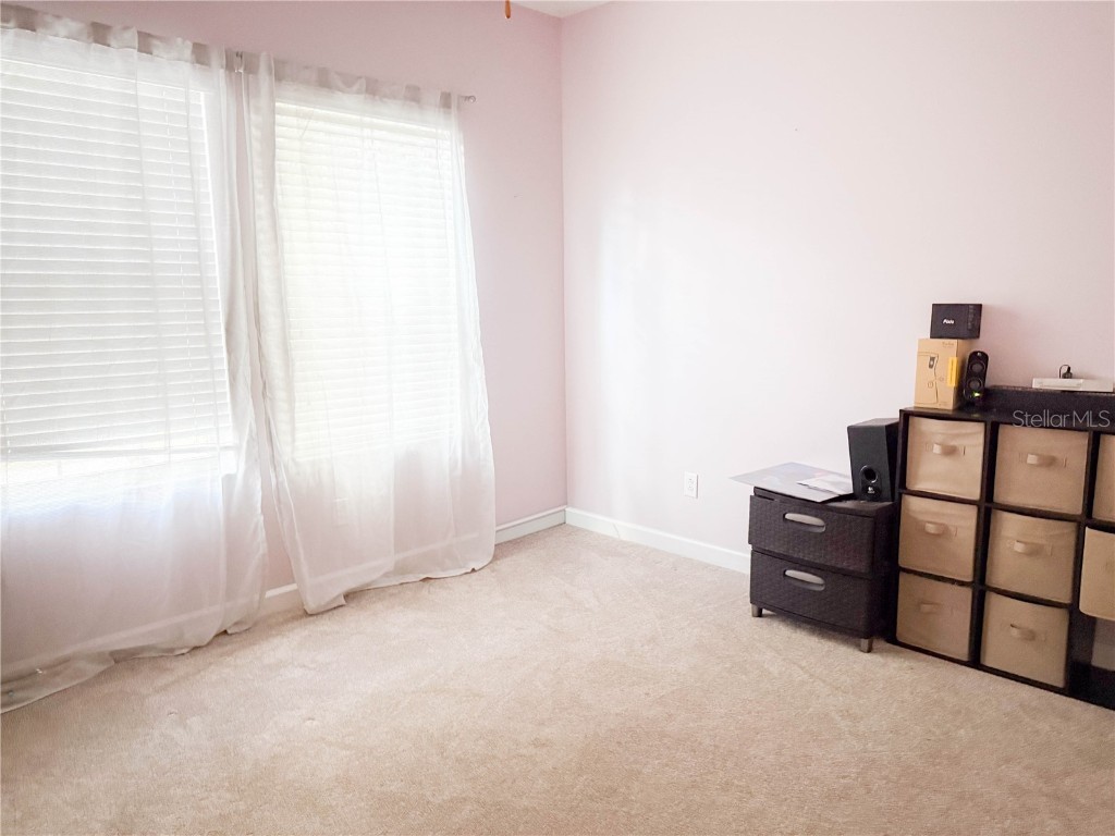 11911 Twilight Darner Place Riverview FL 33569 TB8452471 image18