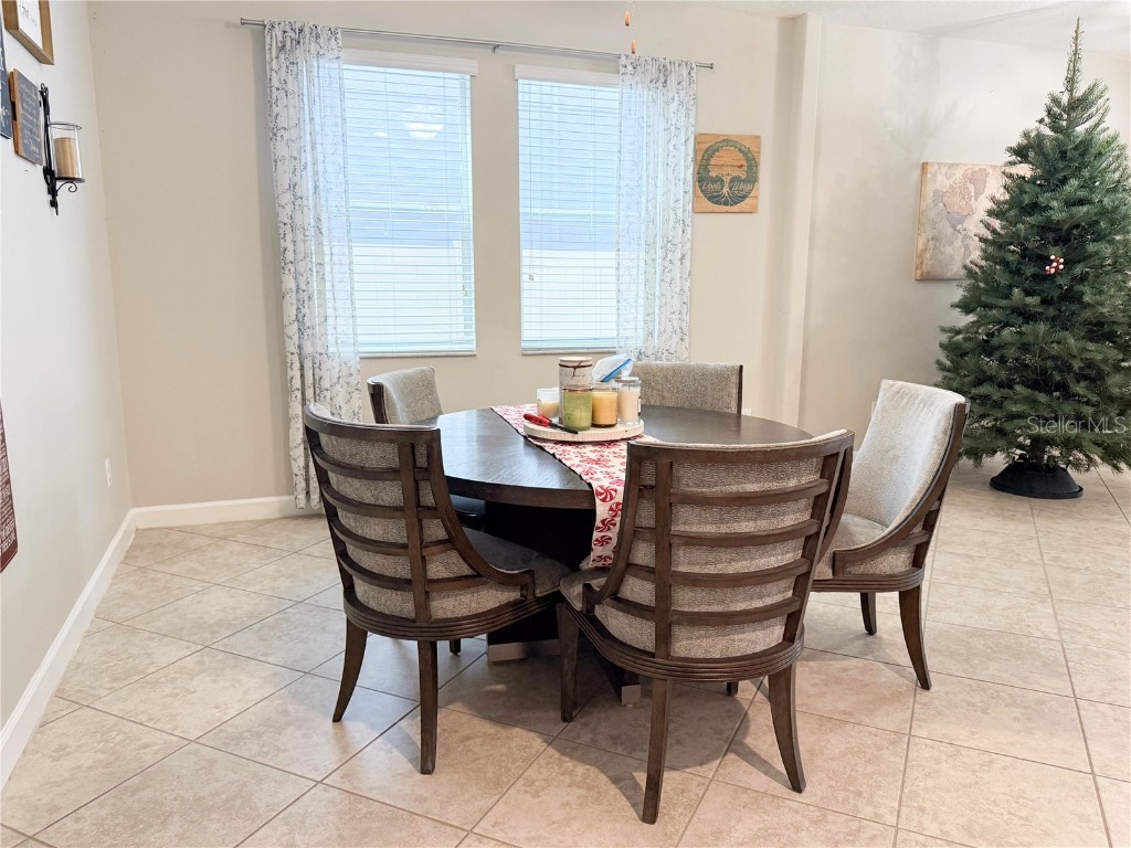 11911 Twilight Darner Place Riverview FL 33569 TB8452471 image2