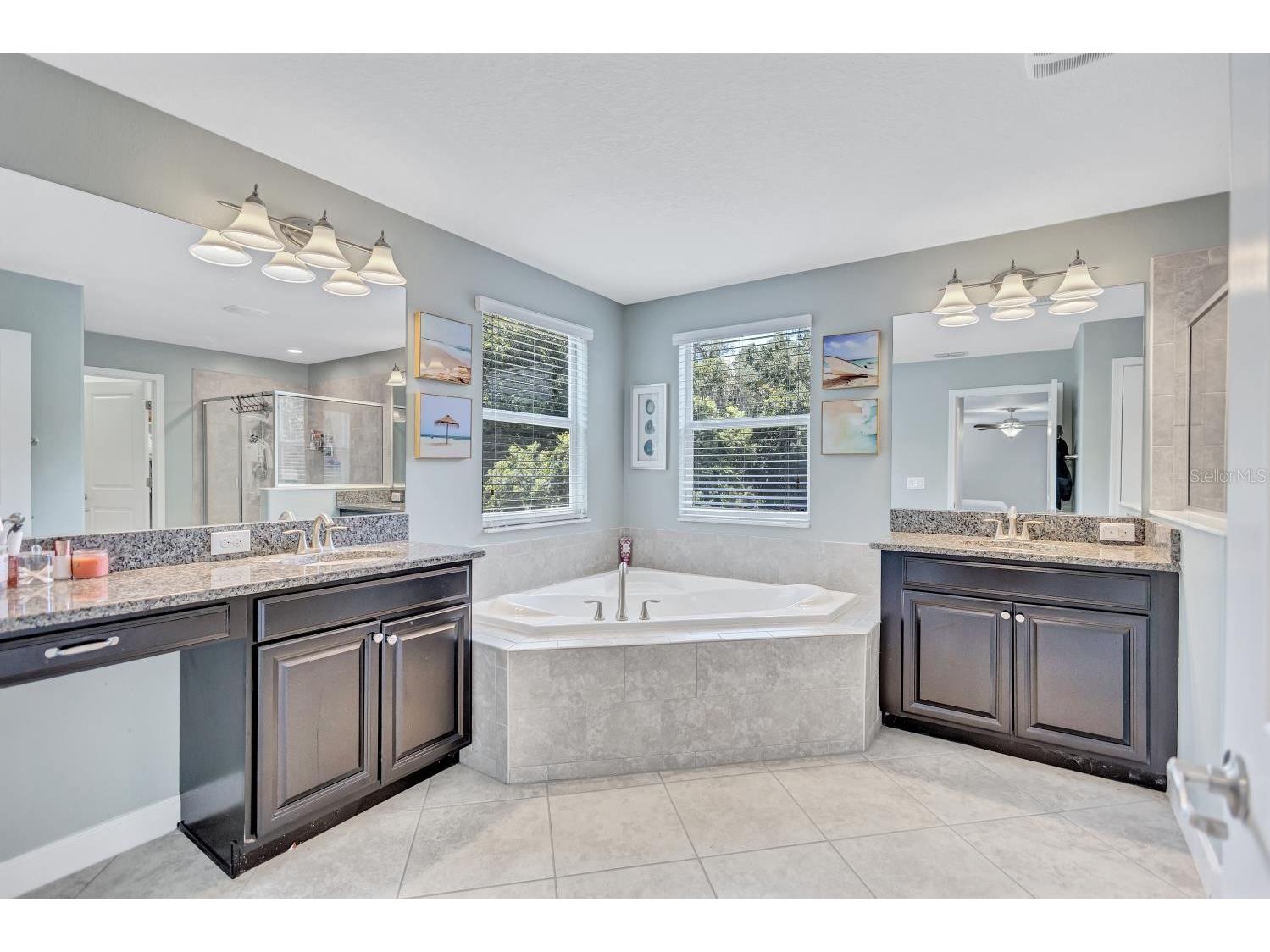 11911 Twilight Darner Place Riverview FL 33569 TB8531263 image15