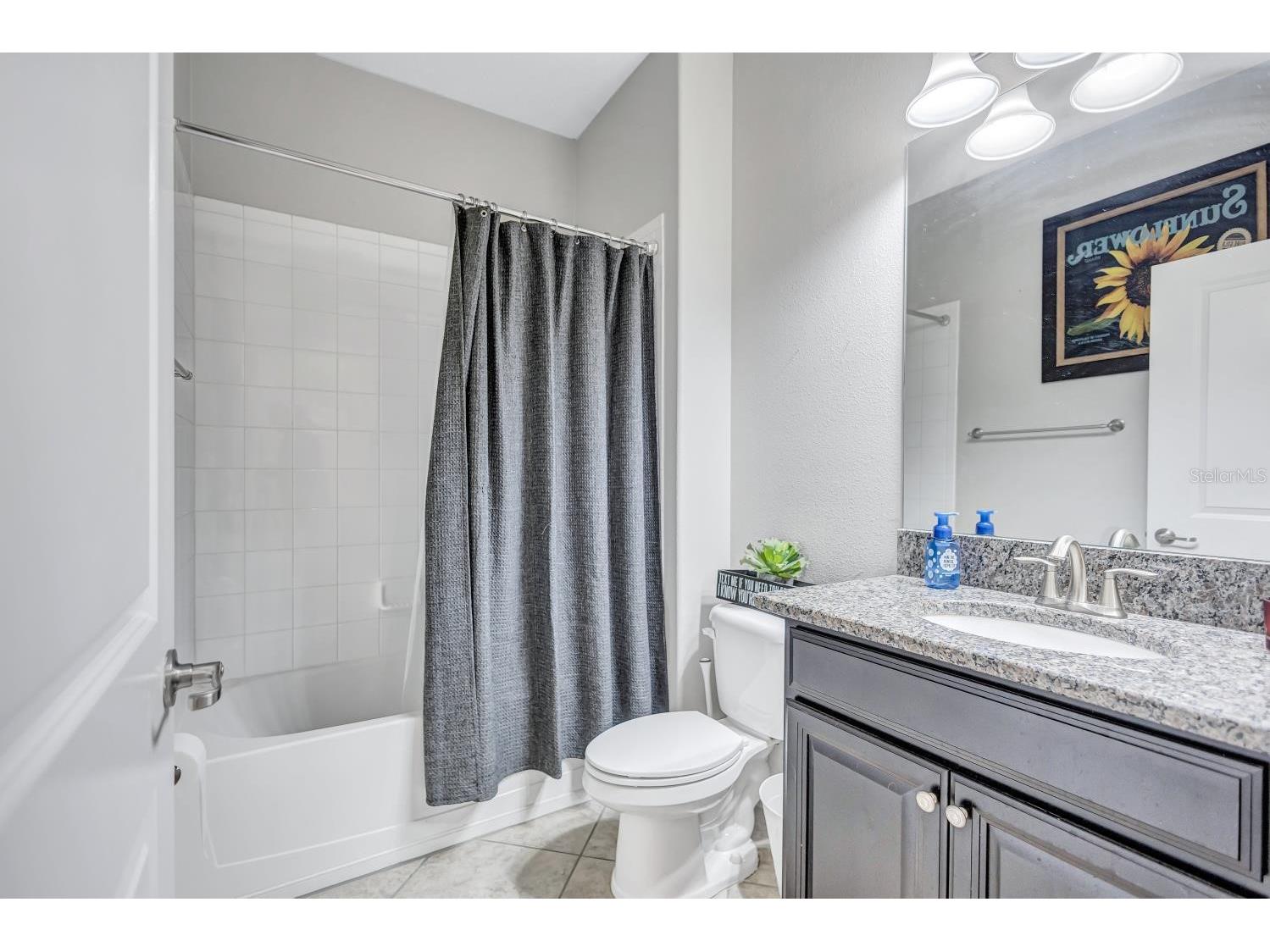 11911 Twilight Darner Place Riverview FL 33569 TB8531263 image7