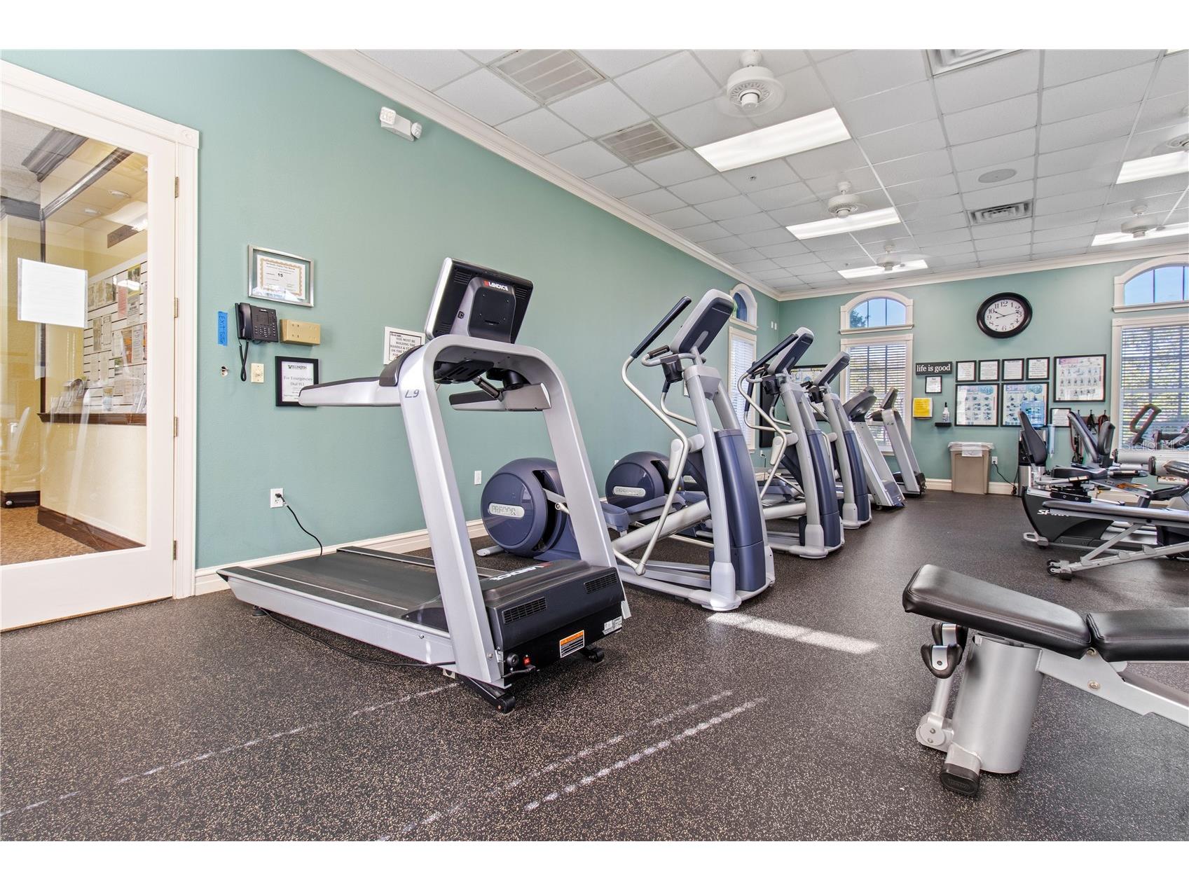 11911 Valley Falls Loop Spring Hill FL 34609 TB8472912 image39