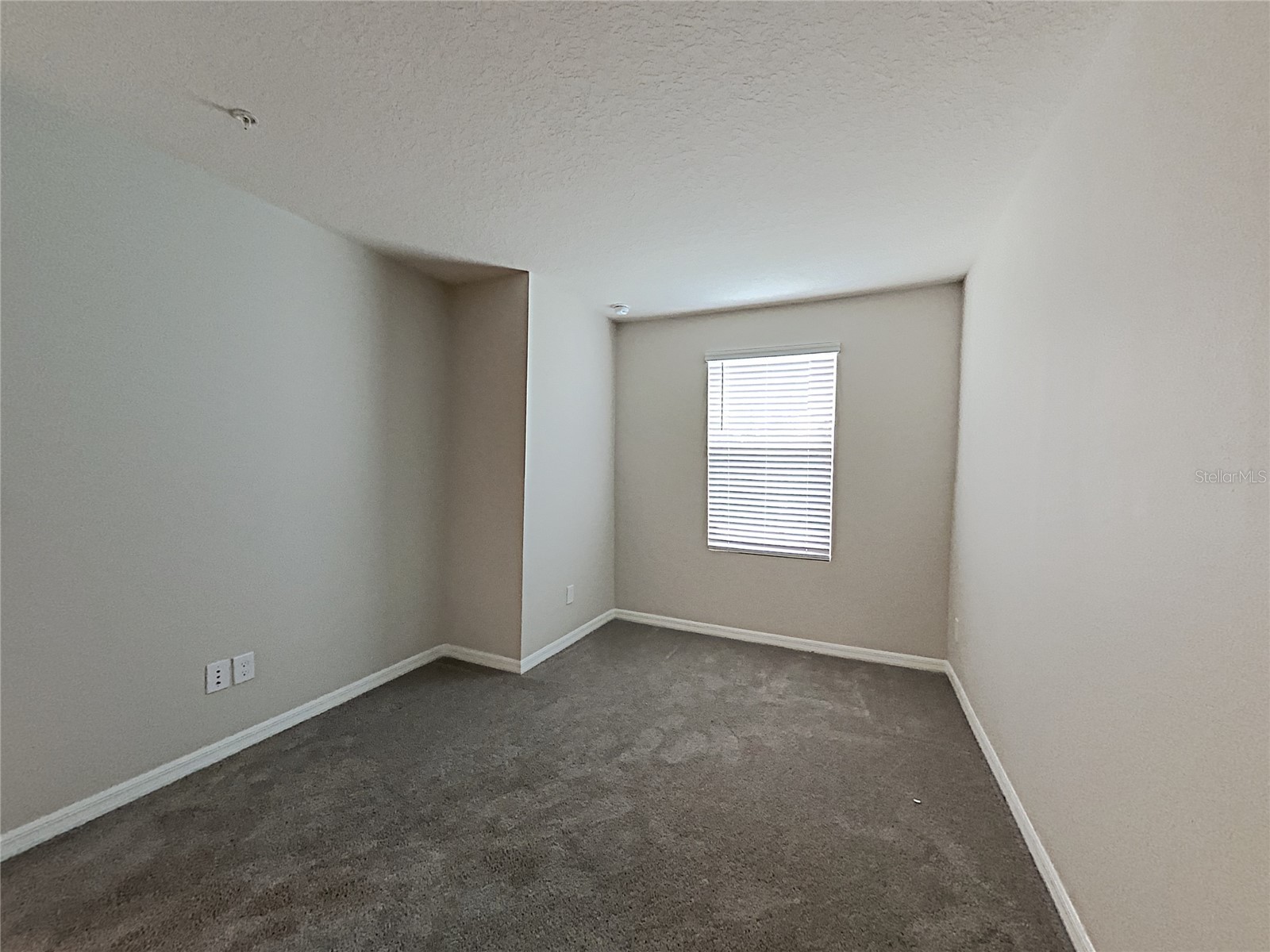 11912 Founders Street Orlando FL 32832 O6421041 image10
