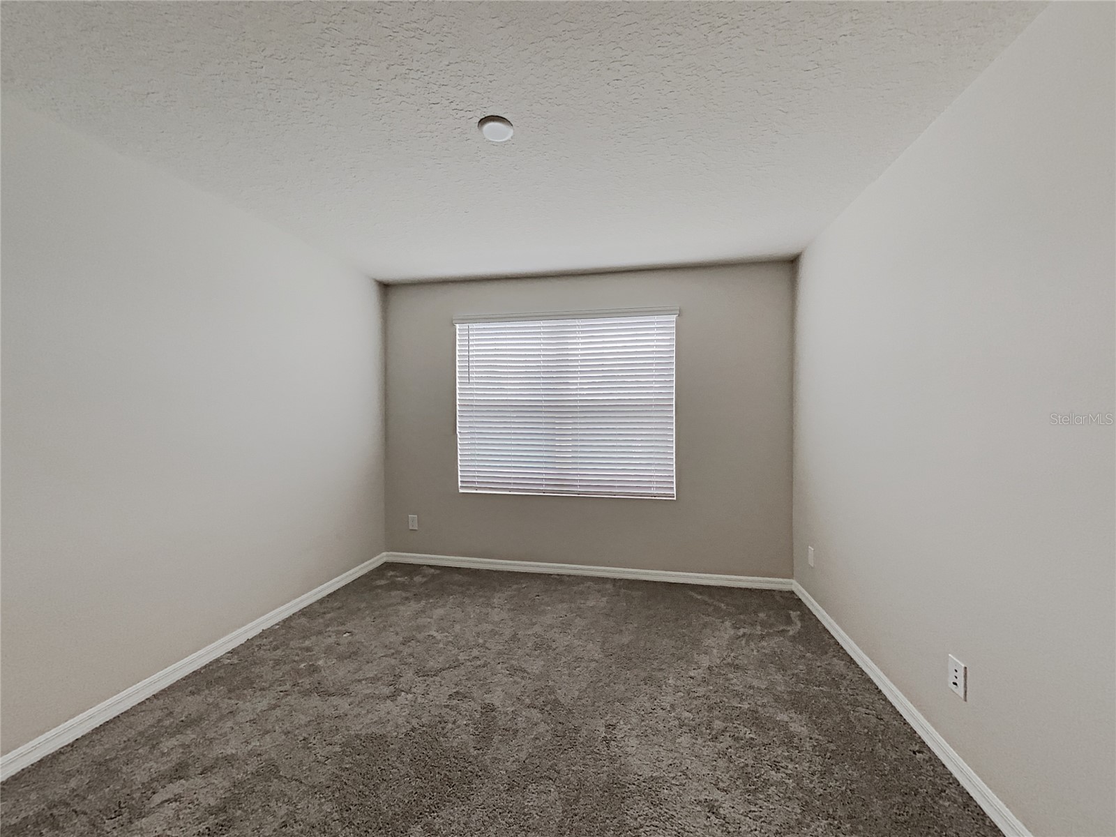 11912 Founders Street Orlando FL 32832 O6421041 image13