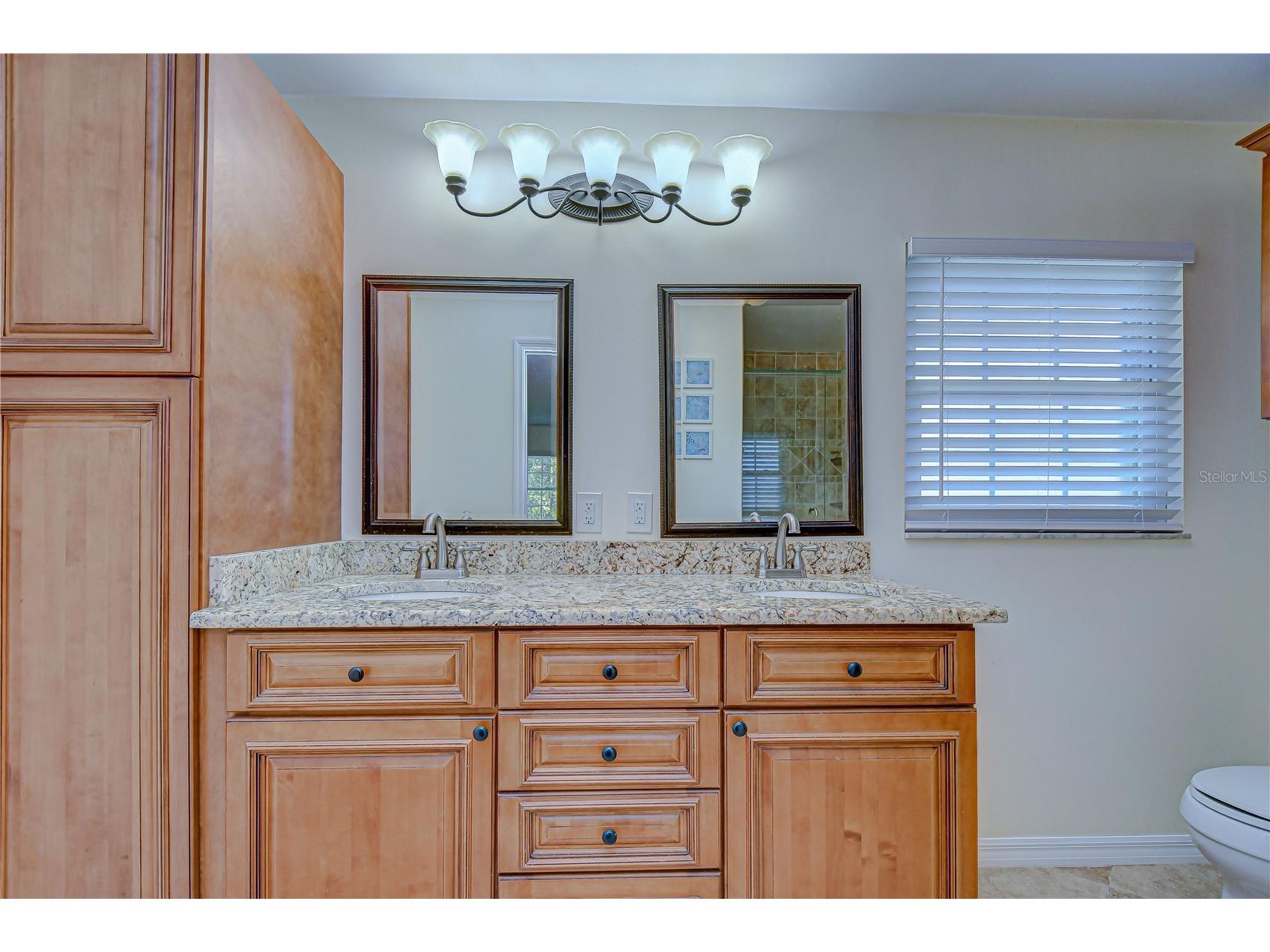 11912 Riverhills Drive Tampa FL 33617 TB8504355 image29