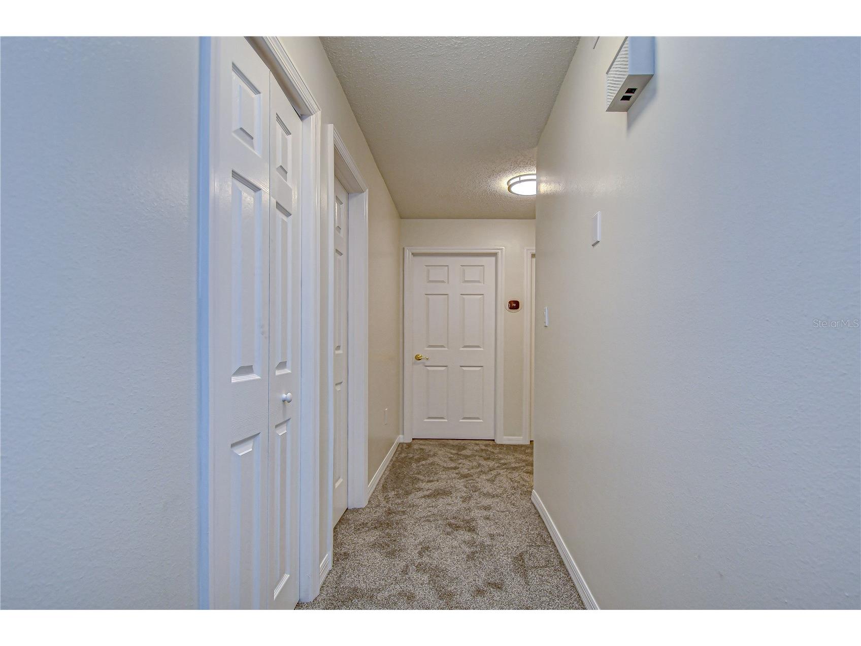 11912 Riverhills Drive Tampa FL 33617 TB8504355 image32