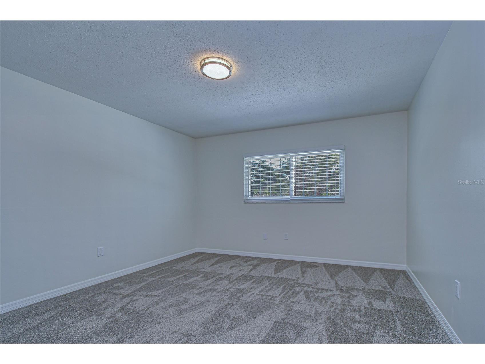 11912 Riverhills Drive Tampa FL 33617 TB8504355 image34