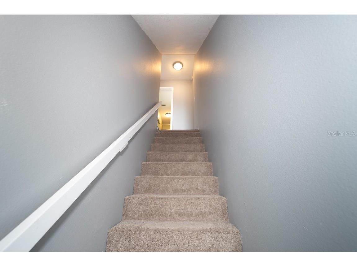 11913 Congressional Drive #11913 Tampa FL 33626 TB8450875 image17