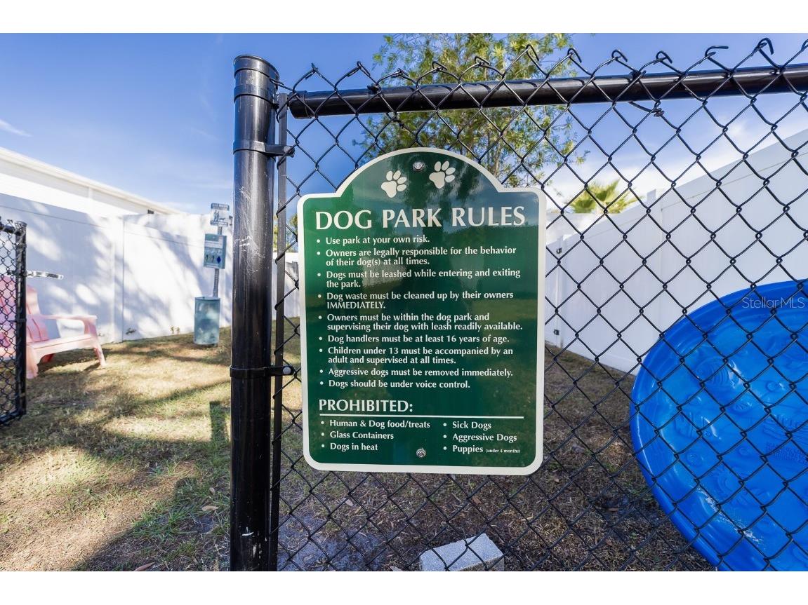 11913 Congressional Drive #11913 Tampa FL 33626 TB8450875 image39