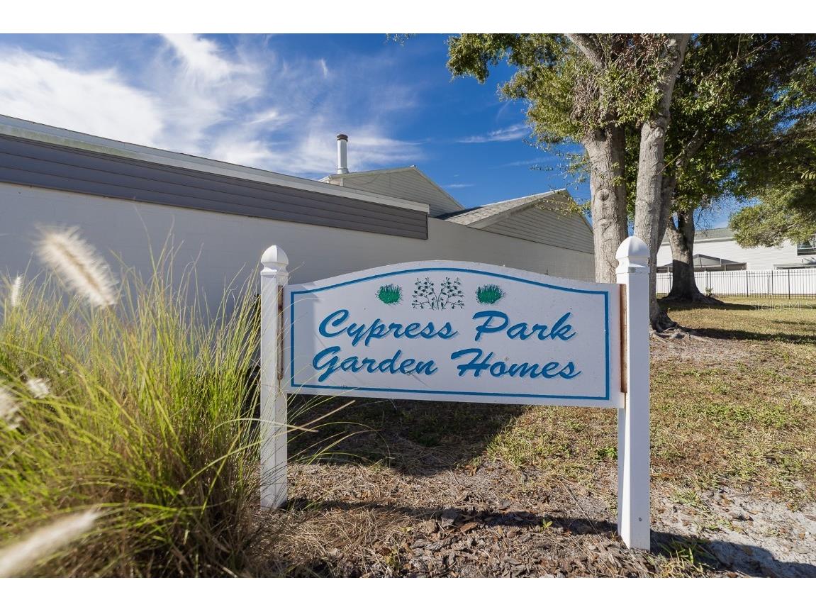 11913 Congressional Drive #11913 Tampa FL 33626 TB8450875 image40