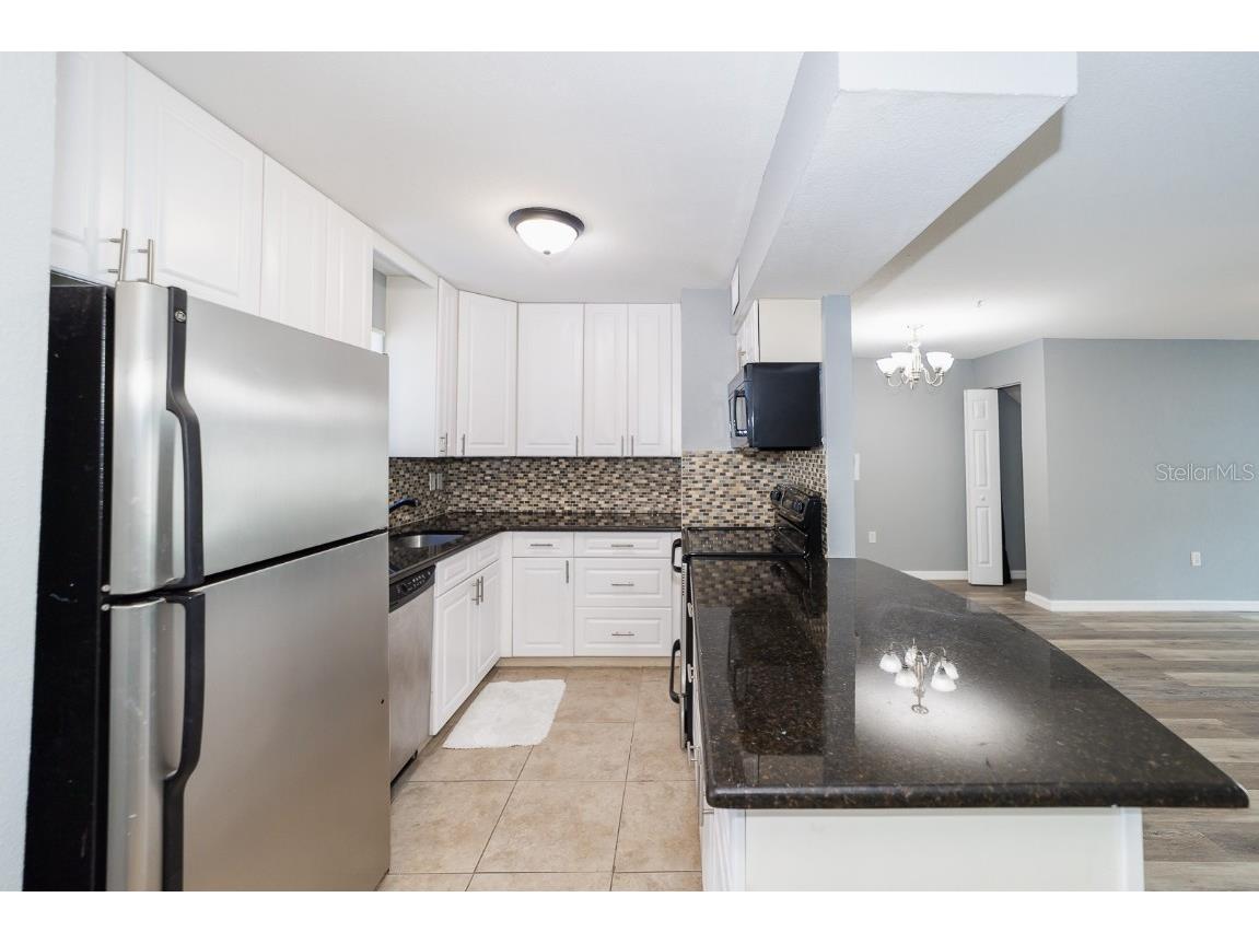 11913 Congressional Drive #11913 Tampa FL 33626 TB8450875 image6