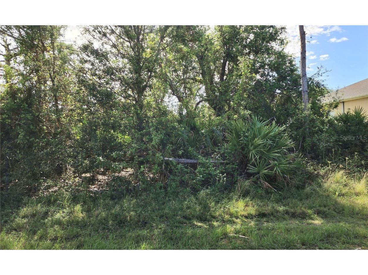 11913 Florence Avenue Port Charlotte FL 33981 C7500182 image1