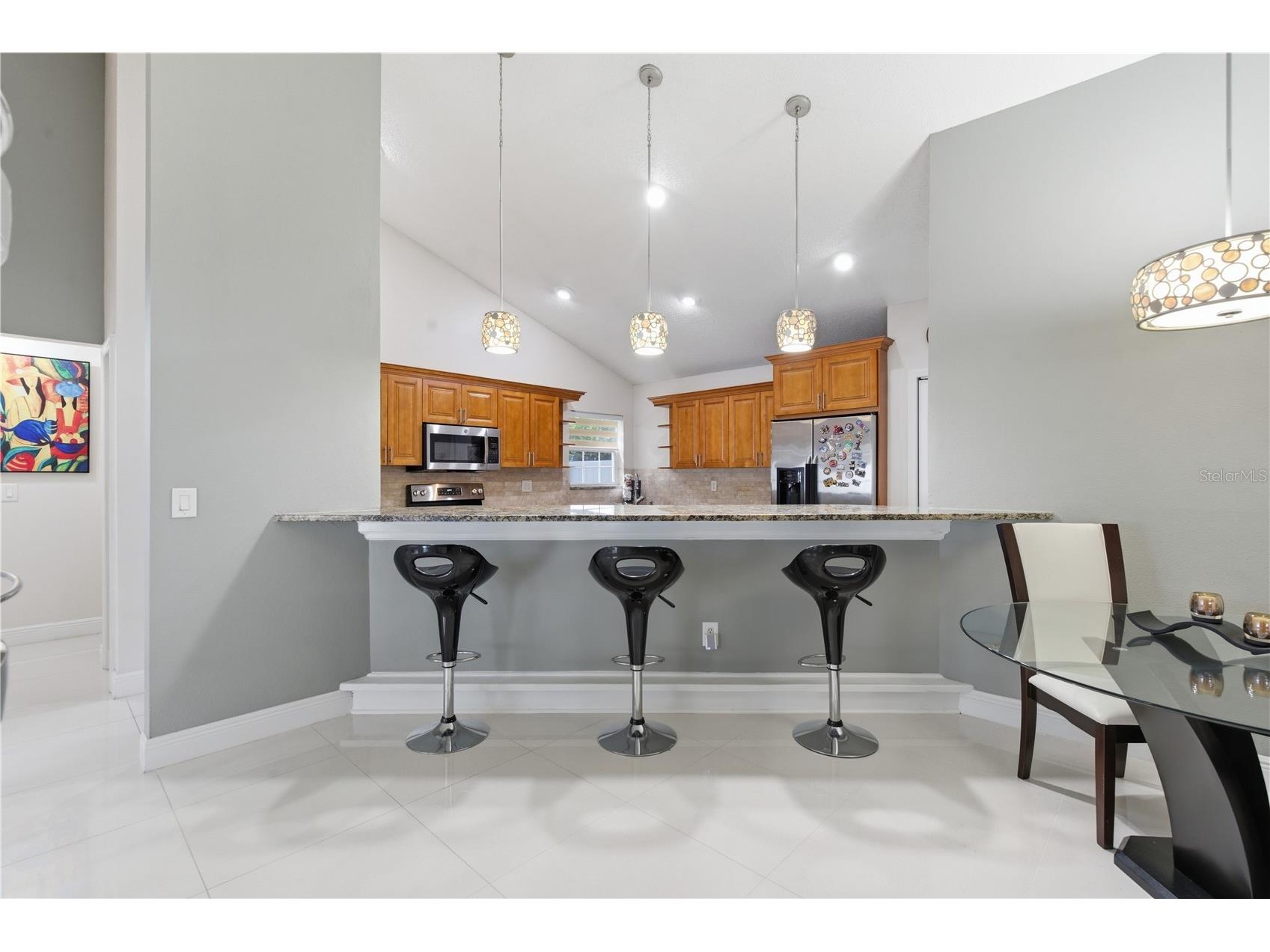 11914 Sugar Tree Drive Tampa FL 33625 TB8496109 image11