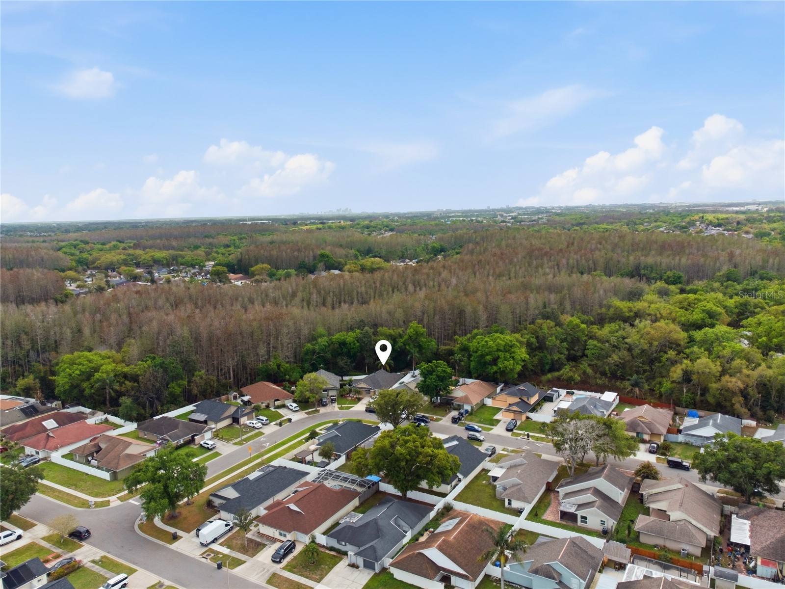 11914 Sugar Tree Drive Tampa FL 33625 TB8496109 image39