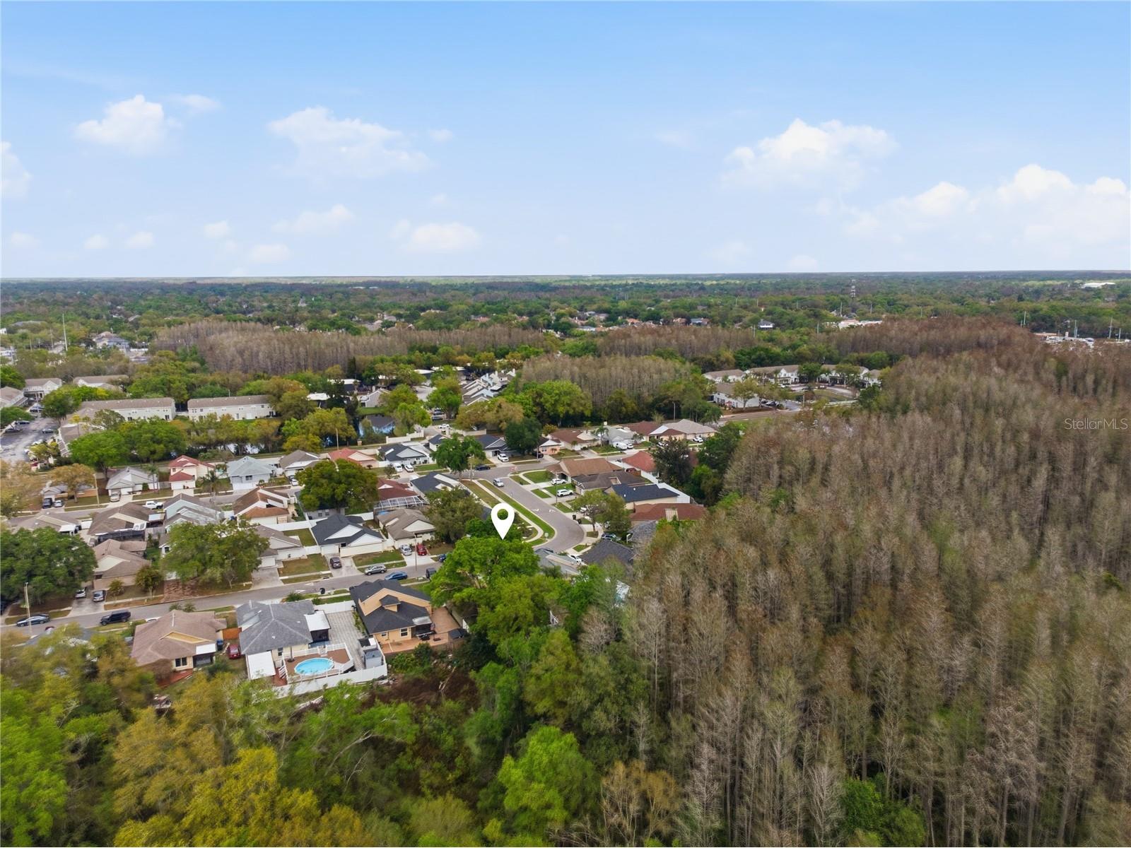 11914 Sugar Tree Drive Tampa FL 33625 TB8496109 image40