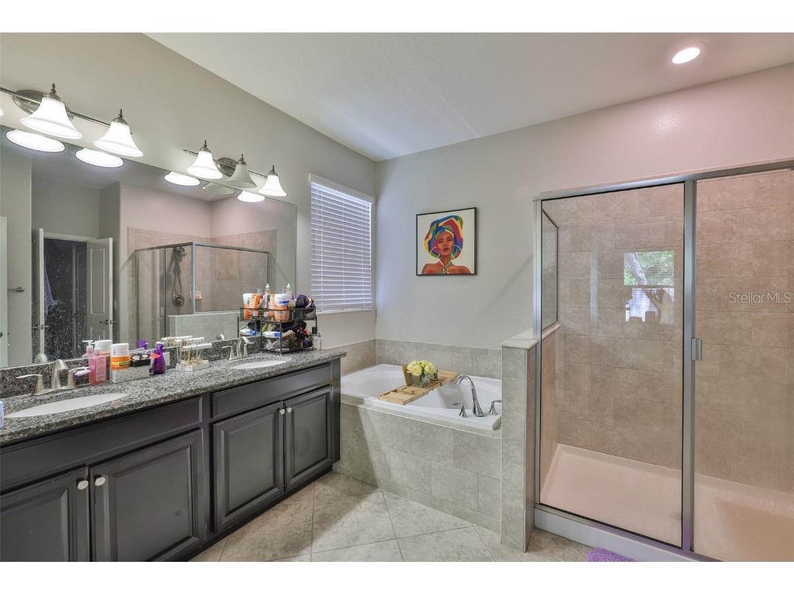 11915 Twilight Darner Place Riverview FL 33569 TB8462661 image18