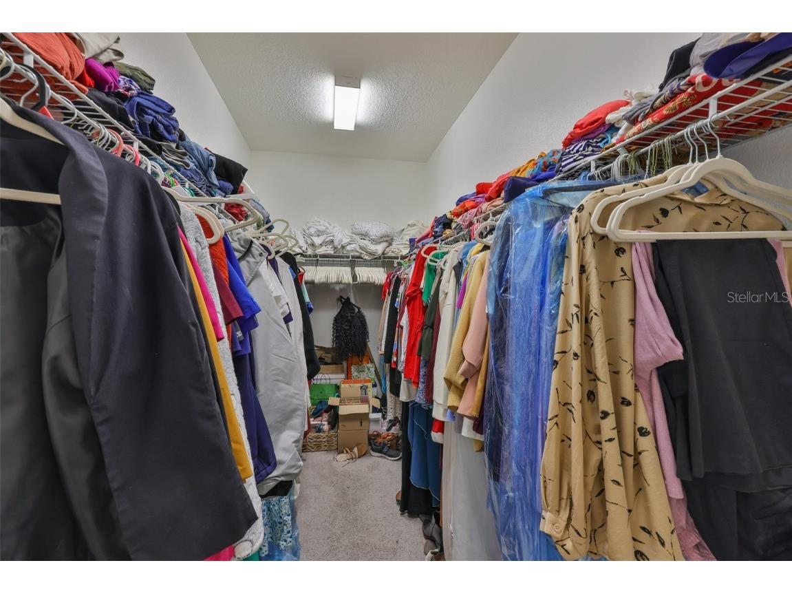 11915 Twilight Darner Place Riverview FL 33569 TB8462661 image19