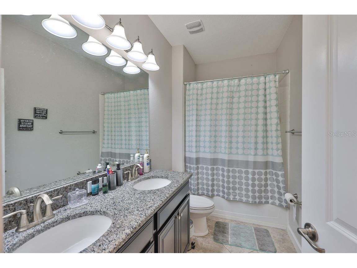 11915 Twilight Darner Place Riverview FL 33569 TB8462661 image24