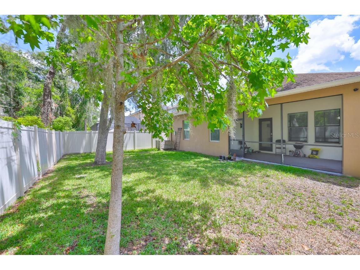 11915 Twilight Darner Place Riverview FL 33569 TB8462661 image33