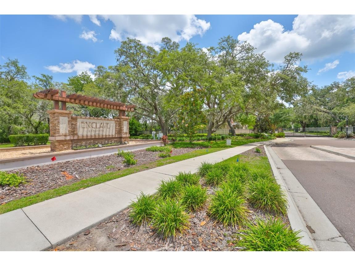 11915 Twilight Darner Place Riverview FL 33569 TB8462661 image5