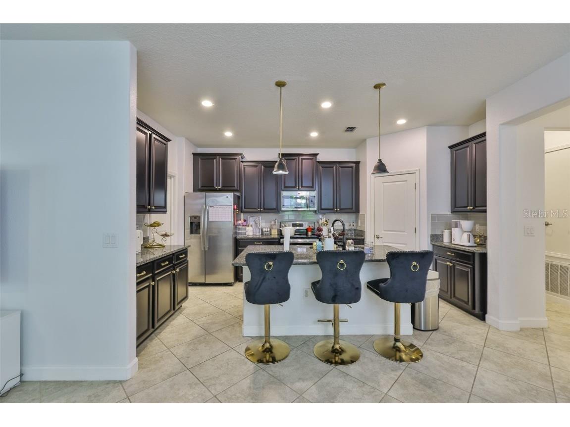 11915 Twilight Darner Place Riverview FL 33569 TB8462661 image9