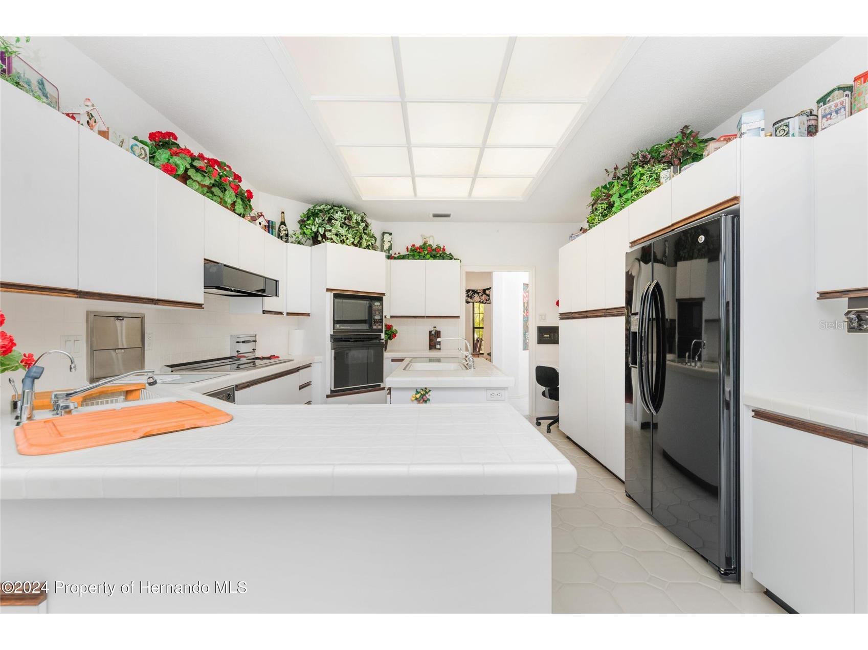 11915 W Riverhaven Drive Homosassa FL 34448 - HOMOSASSA RIVER W7883487 image7