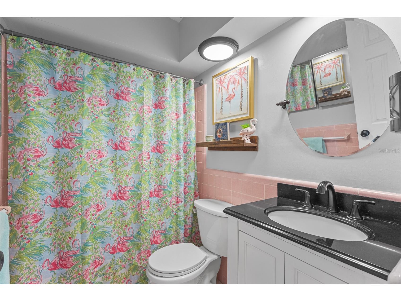 11916 85th Terrace Seminole FL 33772 TB8527683 image17