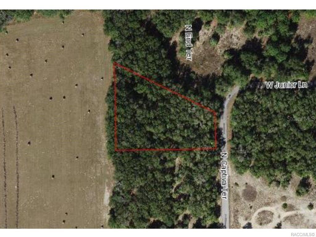 11916 N Captiva Terrace Dunnellon FL 34433 TB8315603 image1