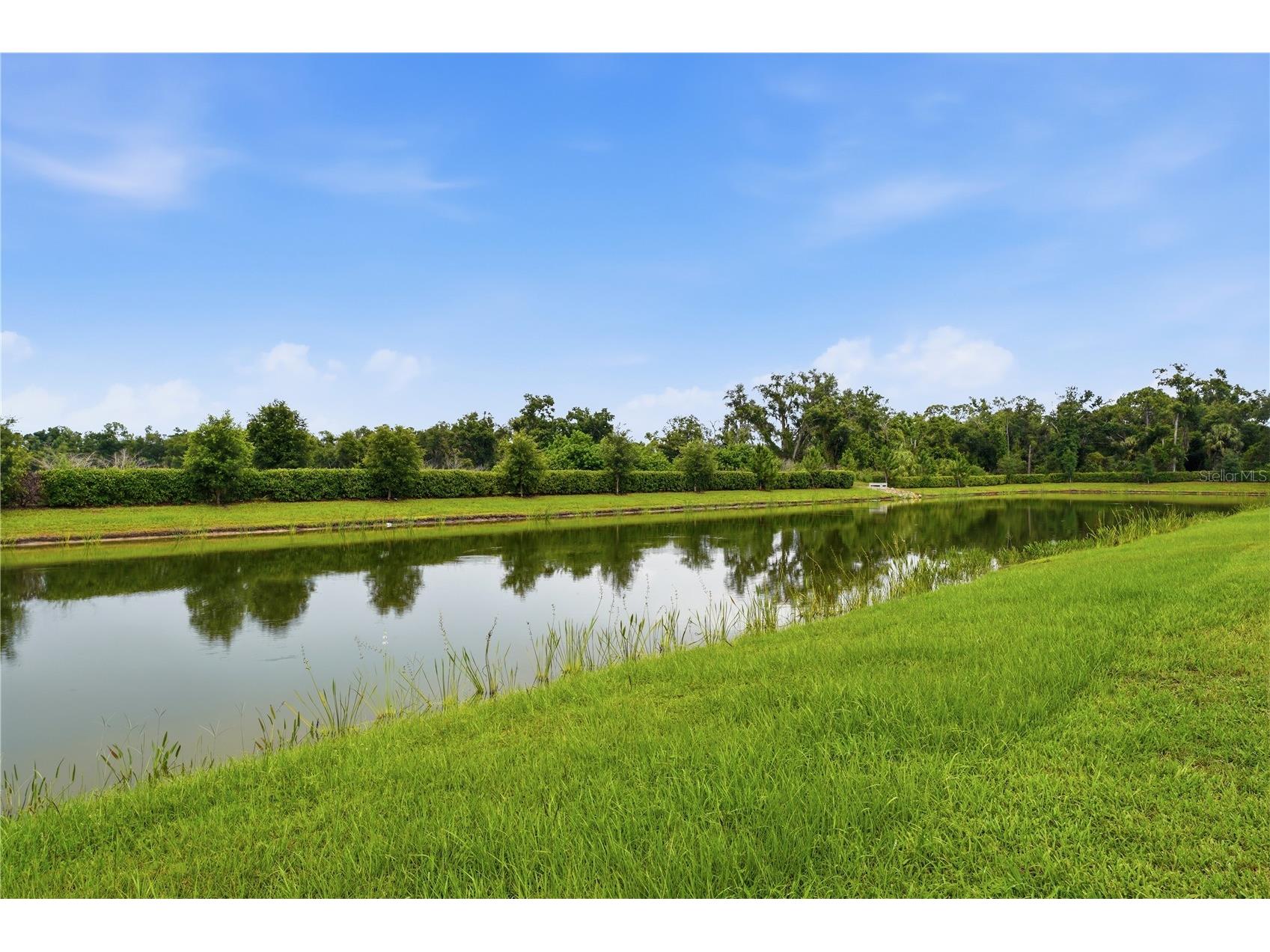 11916 Richmond Trail Parrish FL 34219 A4695443 image38