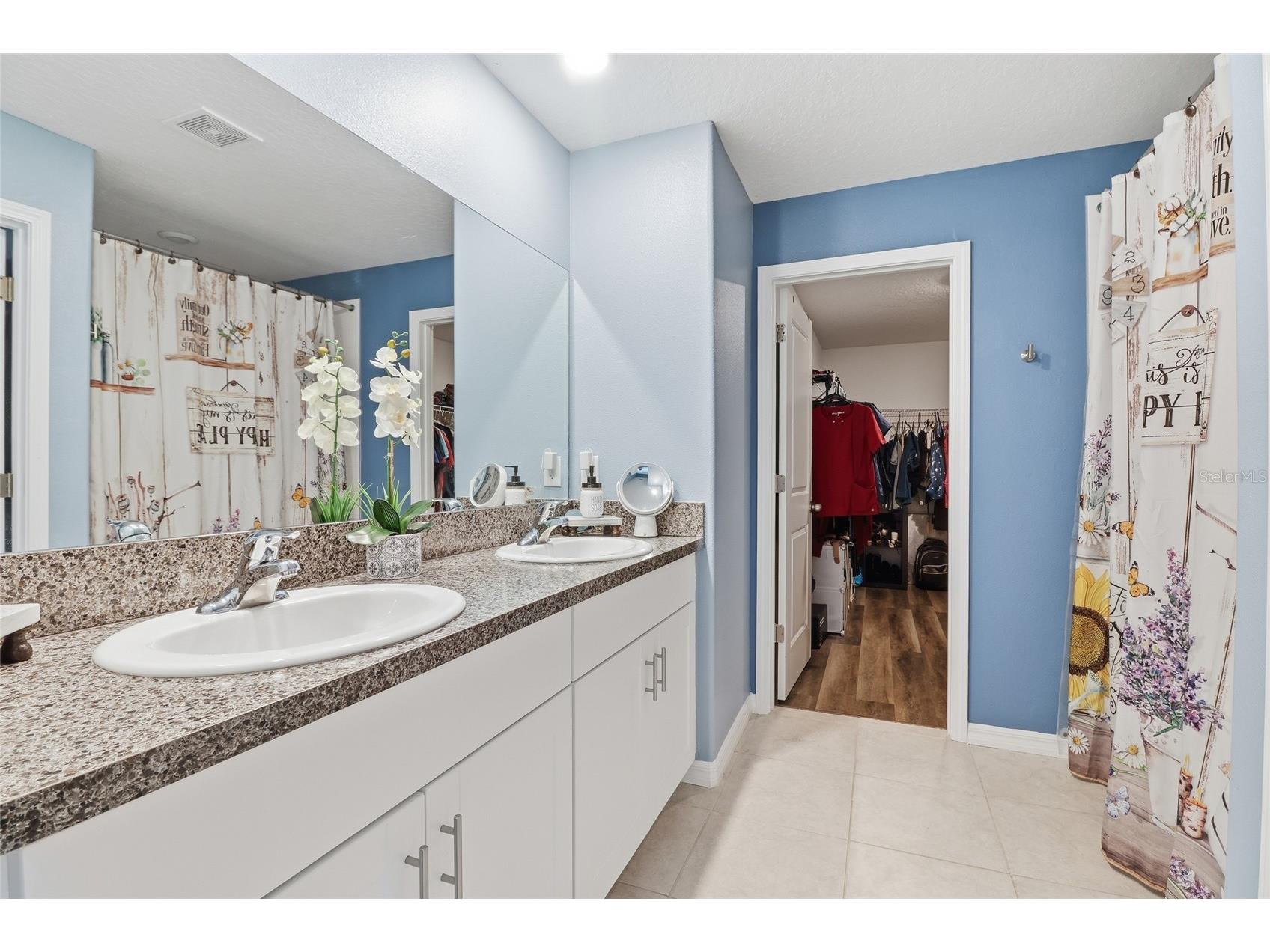 11916 Wild Daffodil Court Riverview FL 33579 TB8434634 image21