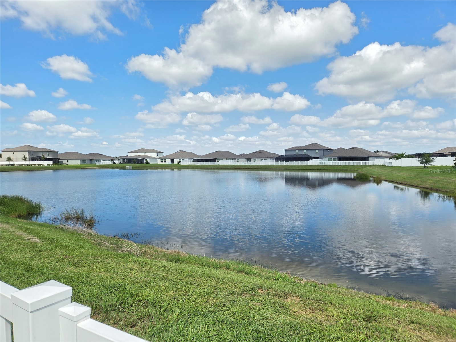 11916 Wild Daffodil Court Riverview FL 33579 TB8434634 image37