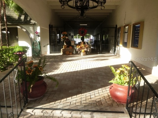 11917 Bayonet Lane #11917 New Port Richey FL 34654 W7873549 image49