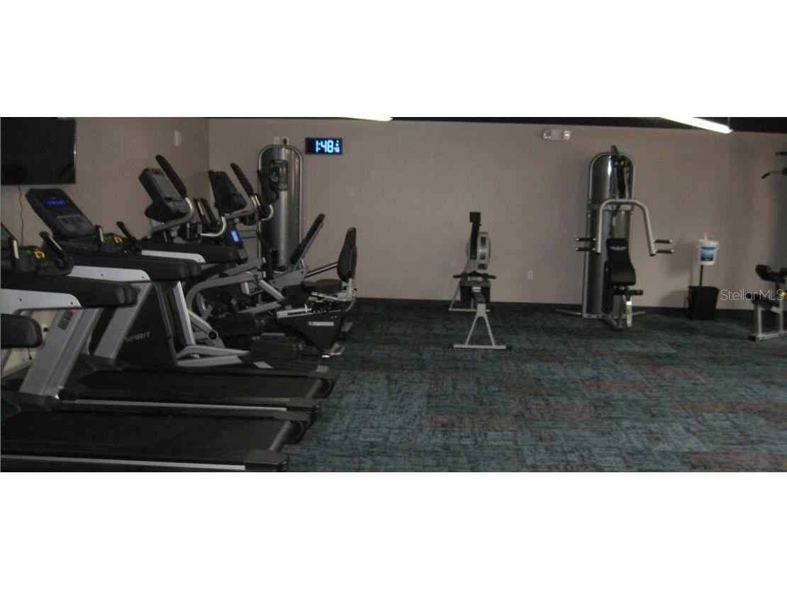 11917 Bayonet Lane #11917 New Port Richey FL 34654 W7873549 image56