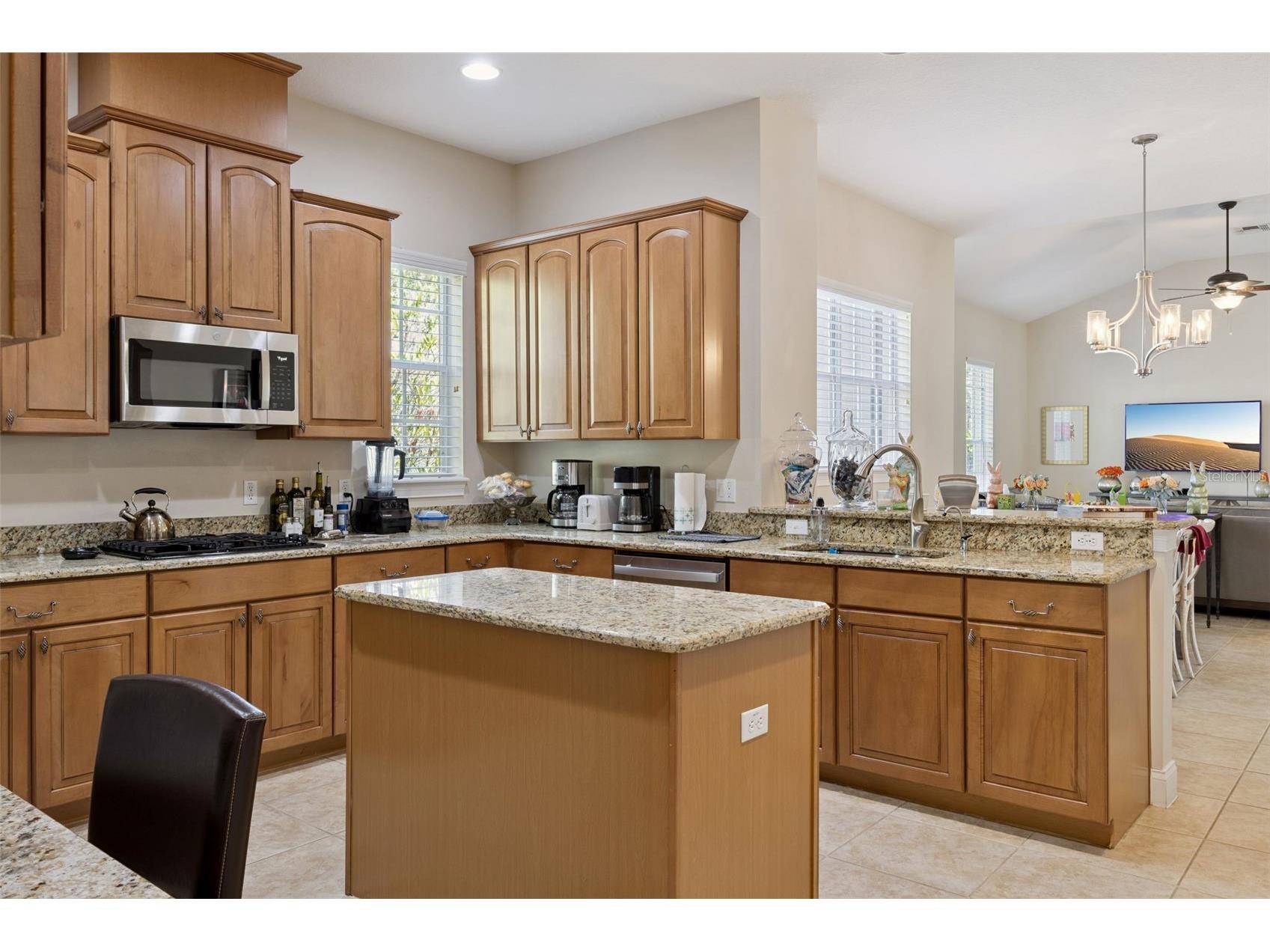 11917 Camden Park Drive Windermere FL 34786 O6403295 image15