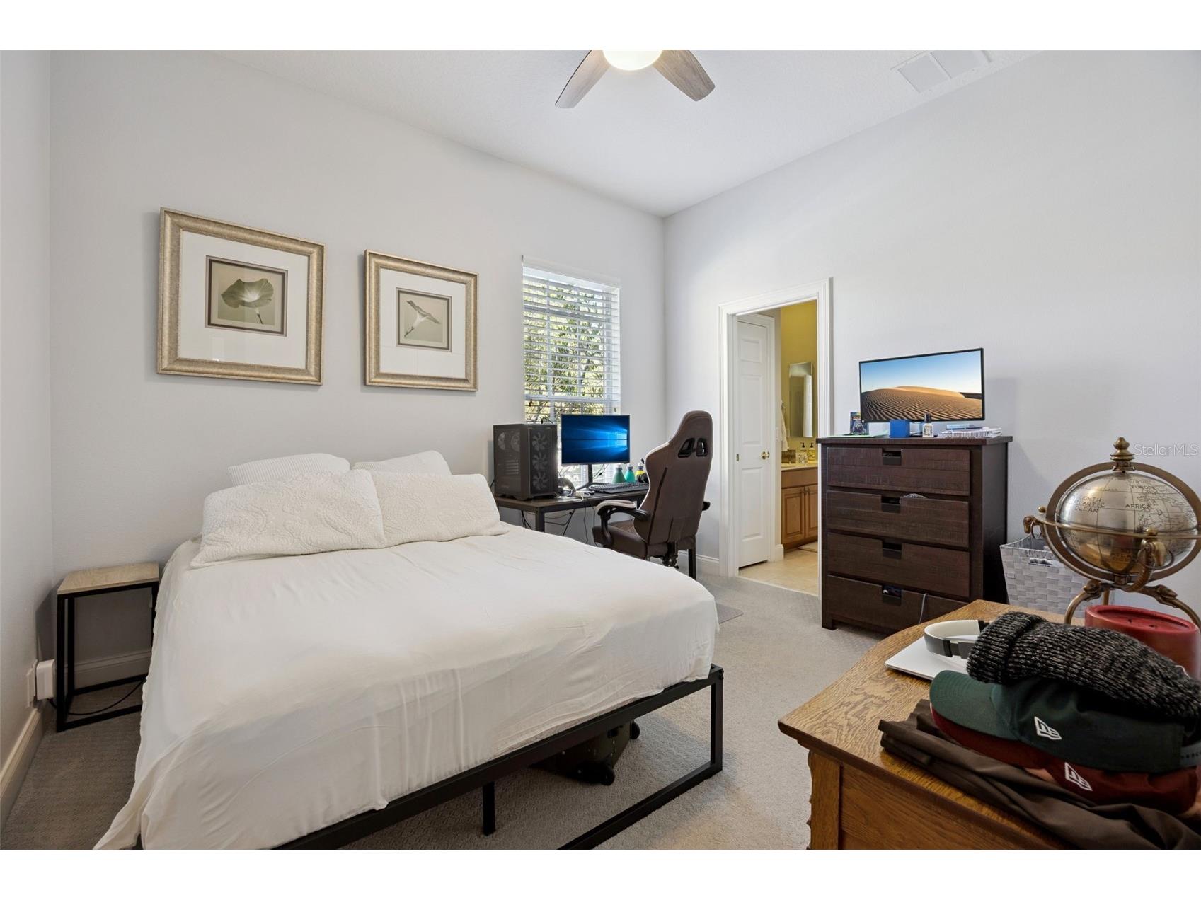 11917 Camden Park Drive Windermere FL 34786 O6403295 image20