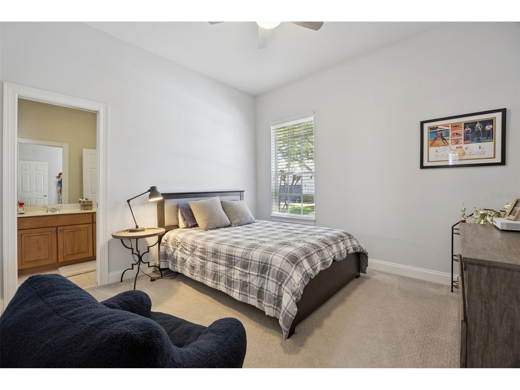11917 Camden Park Drive Windermere FL 34786 O6403295 image23