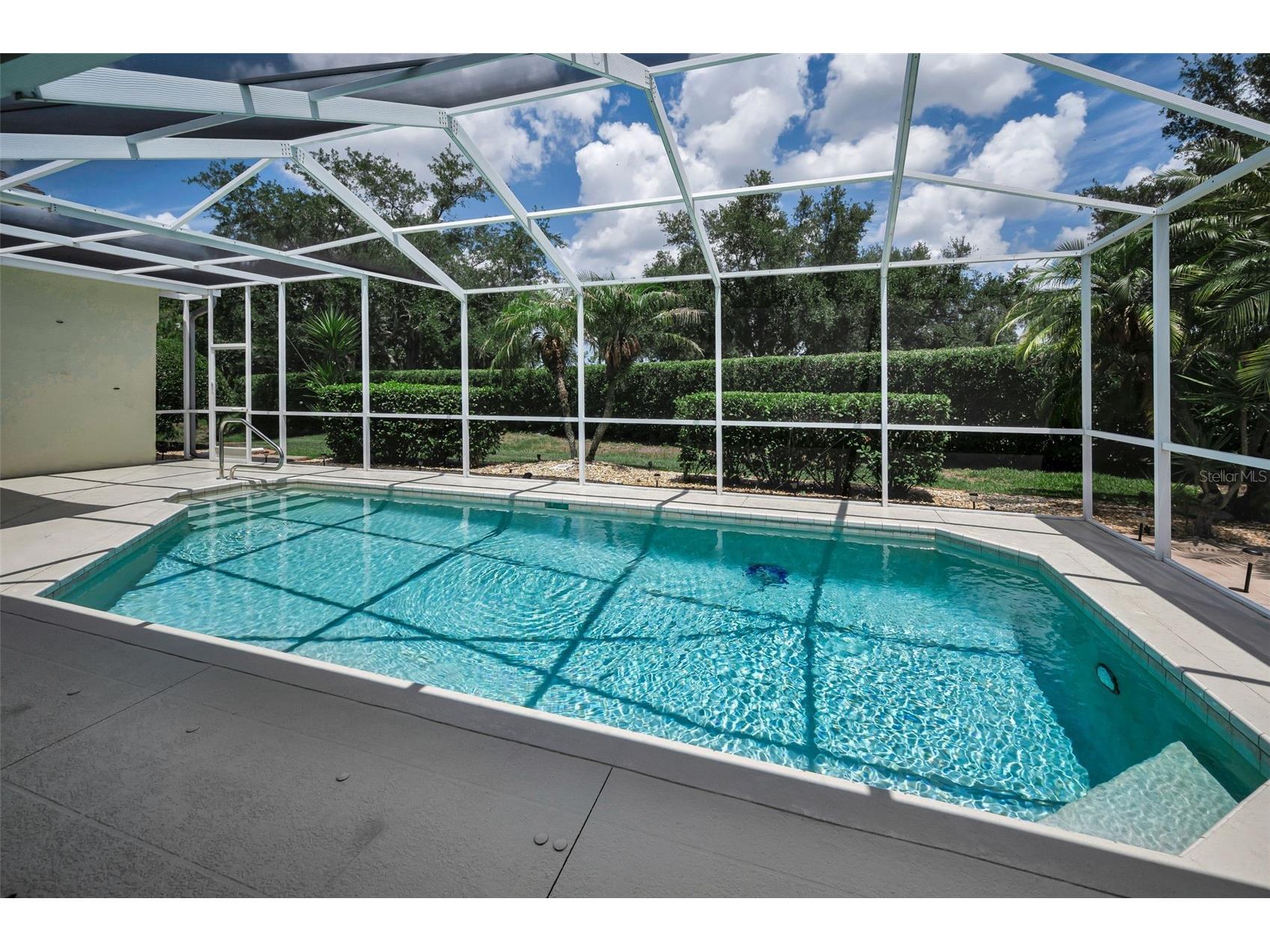 11917 Hadleigh Way Trinity FL 34655 W7885680 image45