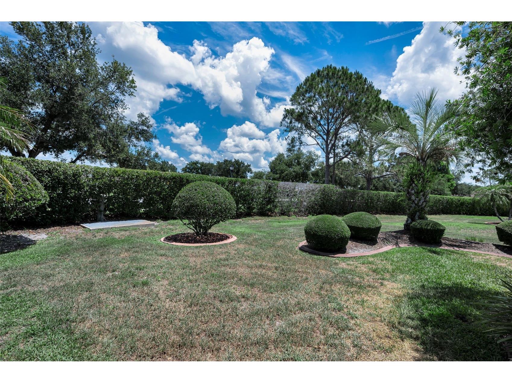 11917 Hadleigh Way Trinity FL 34655 W7885680 image50