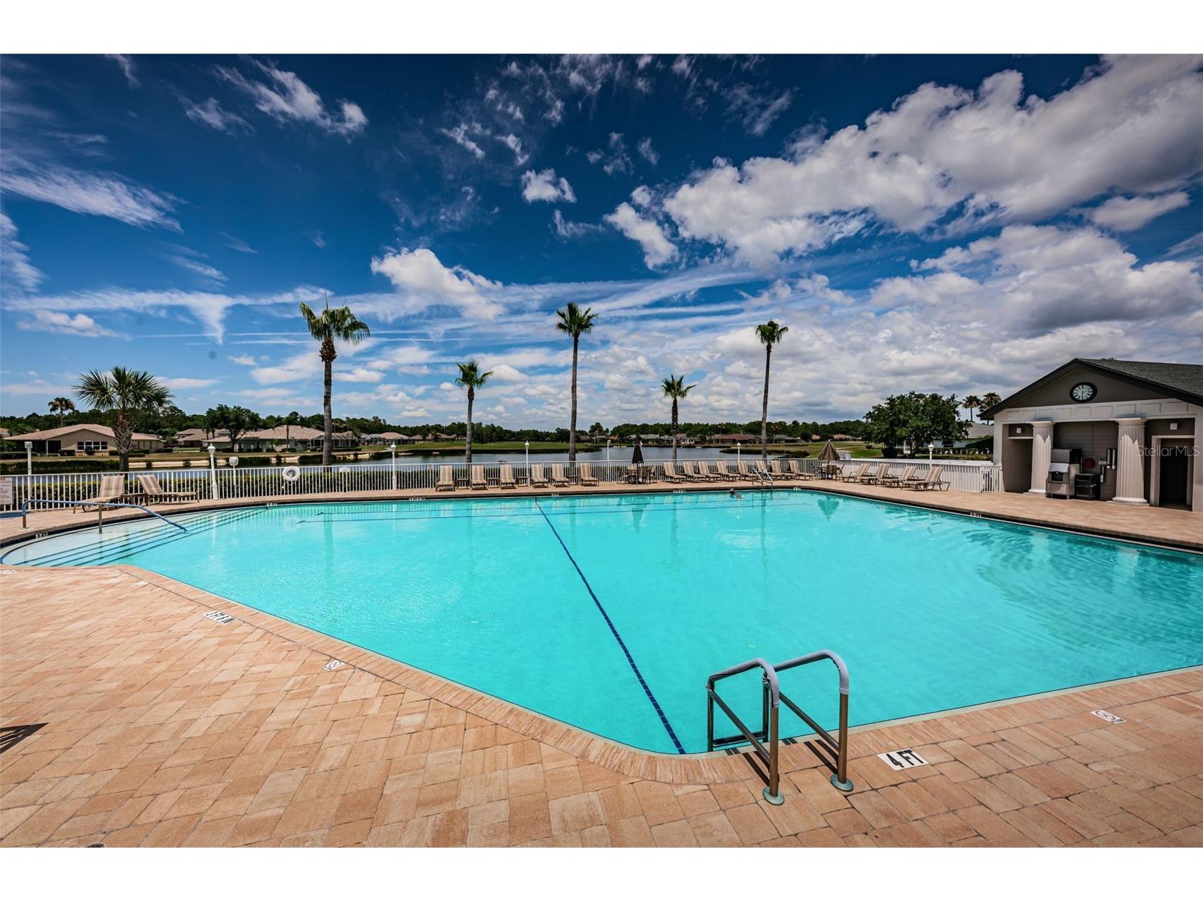11917 Hadleigh Way Trinity FL 34655 W7885680 image72