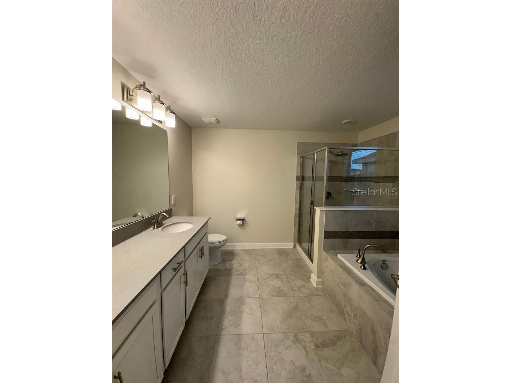 11917 Sonnet Avenue Orlando FL 32832 O6358339 image23