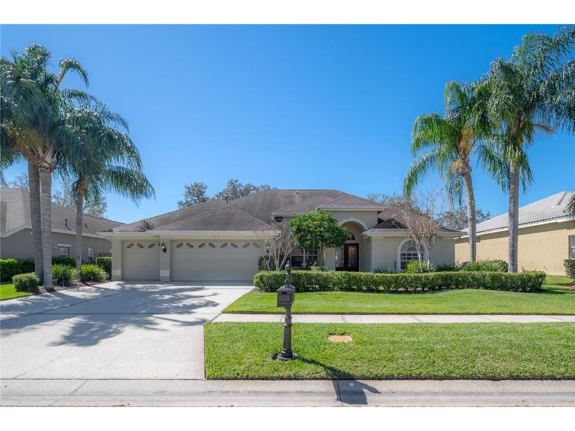11918 Keating Drive Tampa FL 33626 T3429788 image1