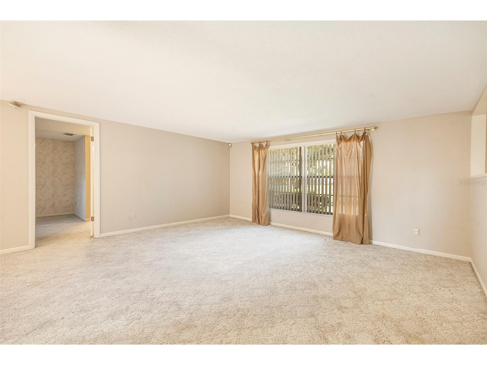 11918 Orangewood Drive Dade City FL 33525 TB8437464 image16