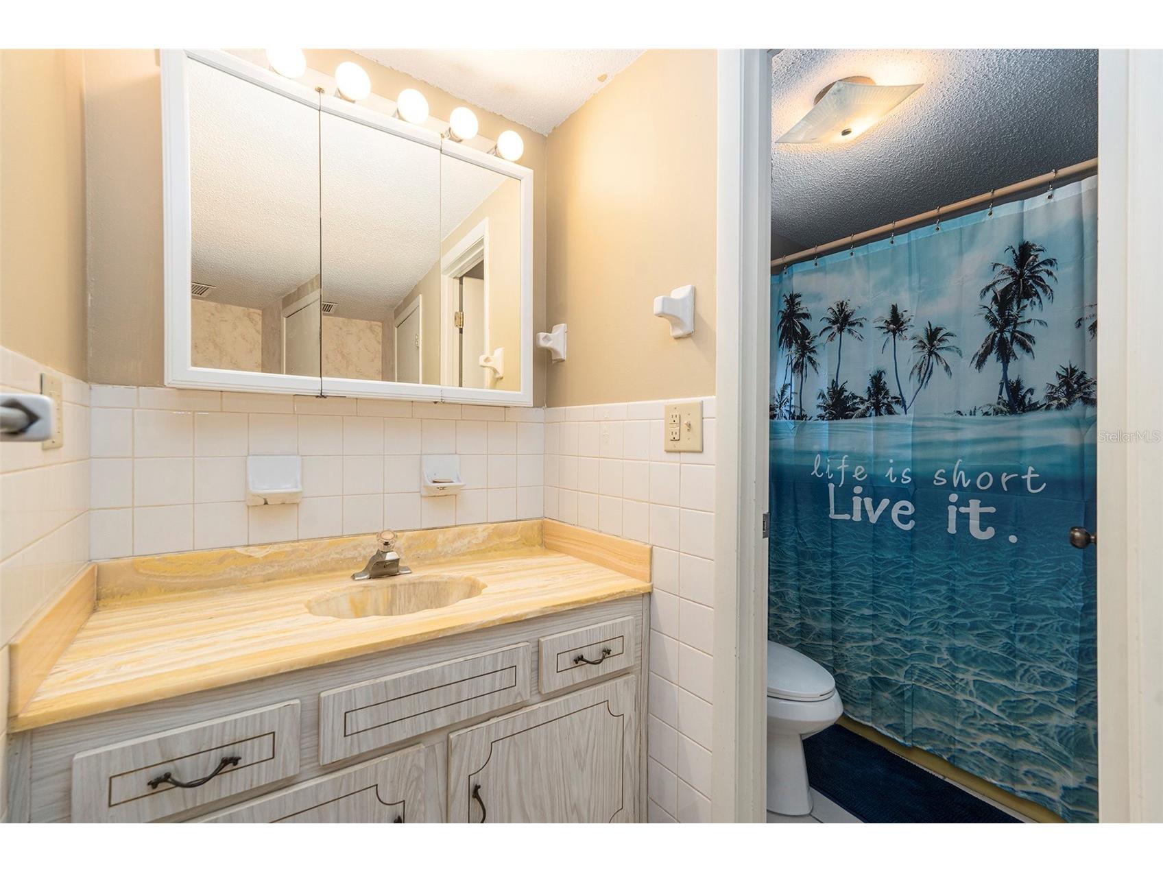 11918 Orangewood Drive Dade City FL 33525 TB8437464 image19