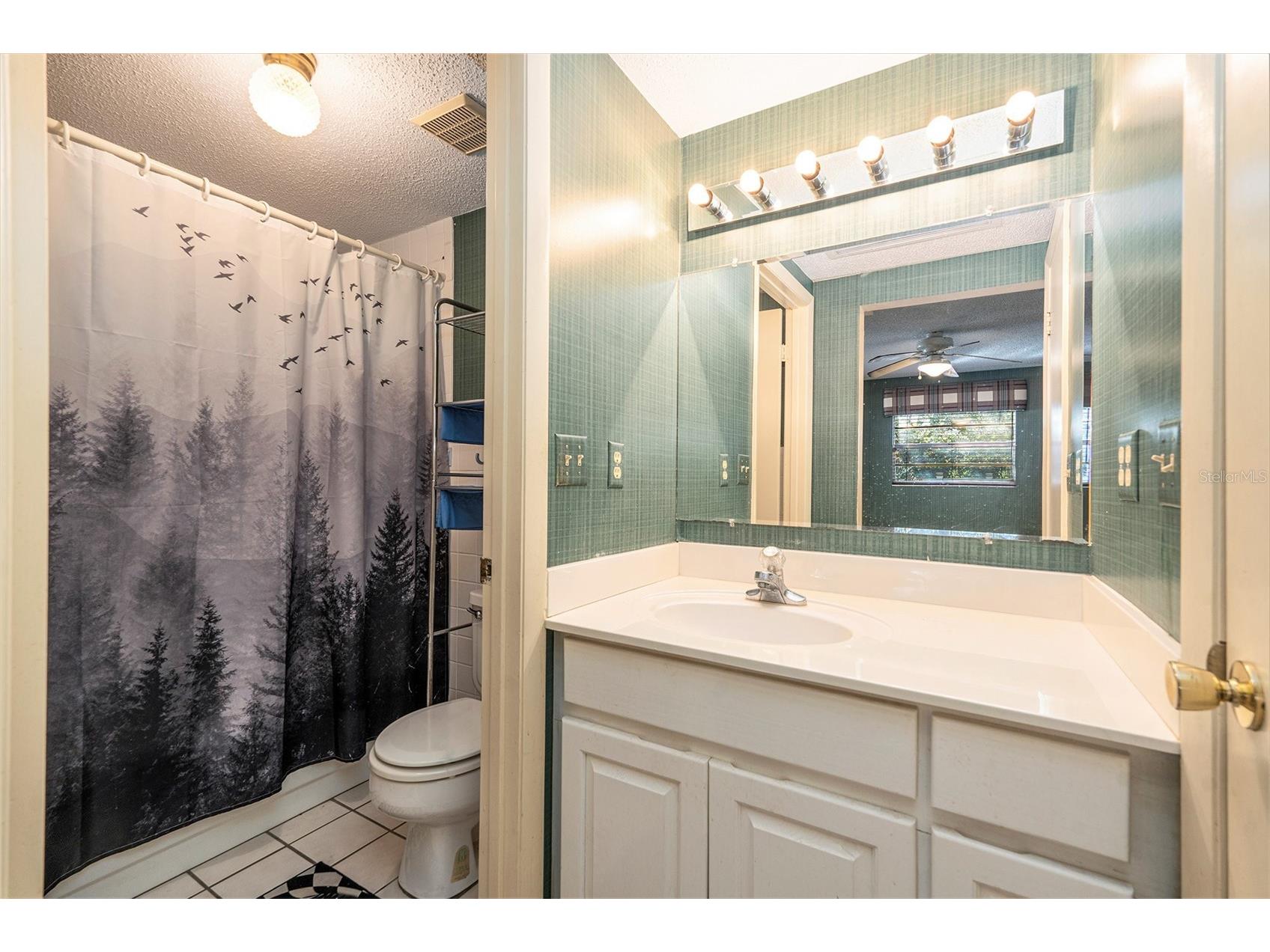 11918 Orangewood Drive Dade City FL 33525 TB8437464 image29