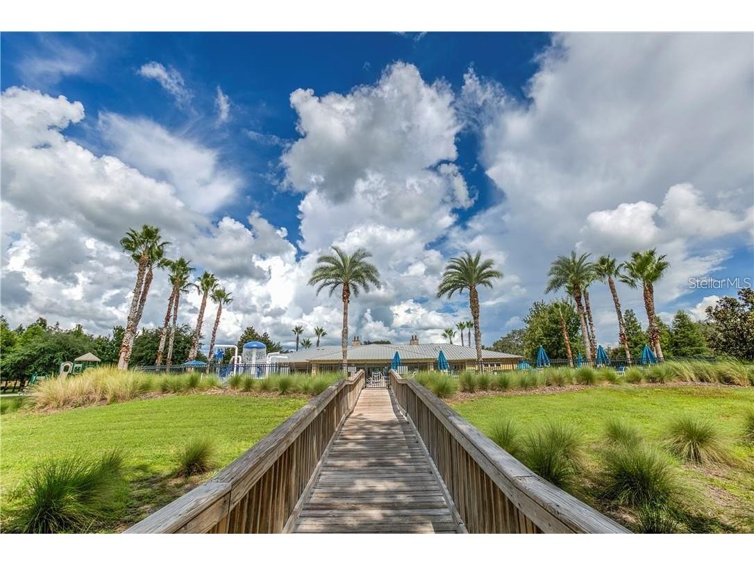 11919 Castine Street New Port Richey FL 34654 TB8509886 image34