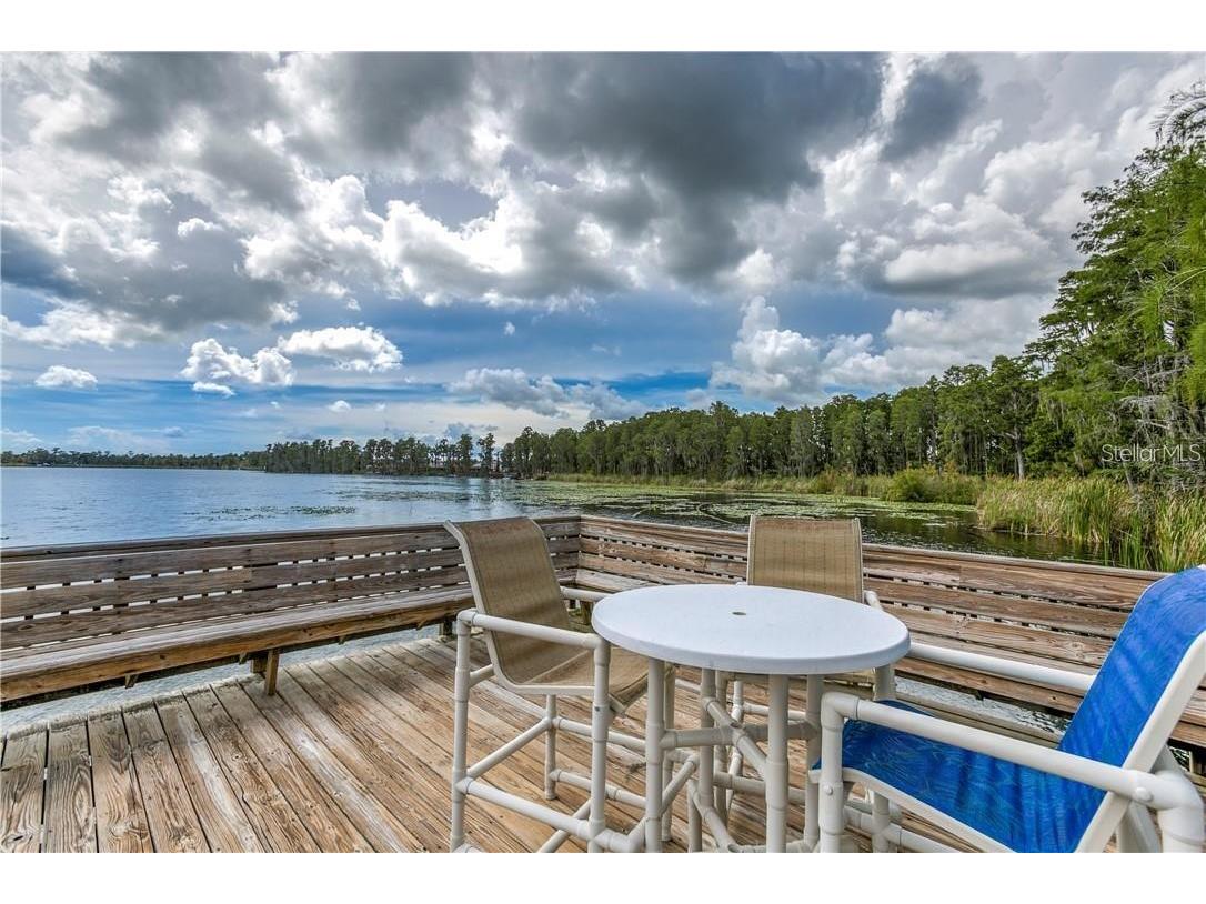 11919 Castine Street New Port Richey FL 34654 TB8509886 image35