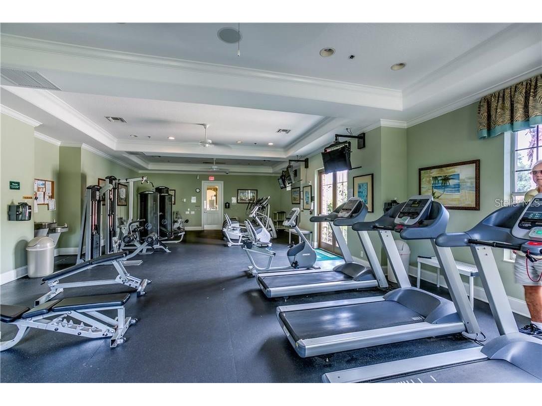 11919 Castine Street New Port Richey FL 34654 TB8509886 image36