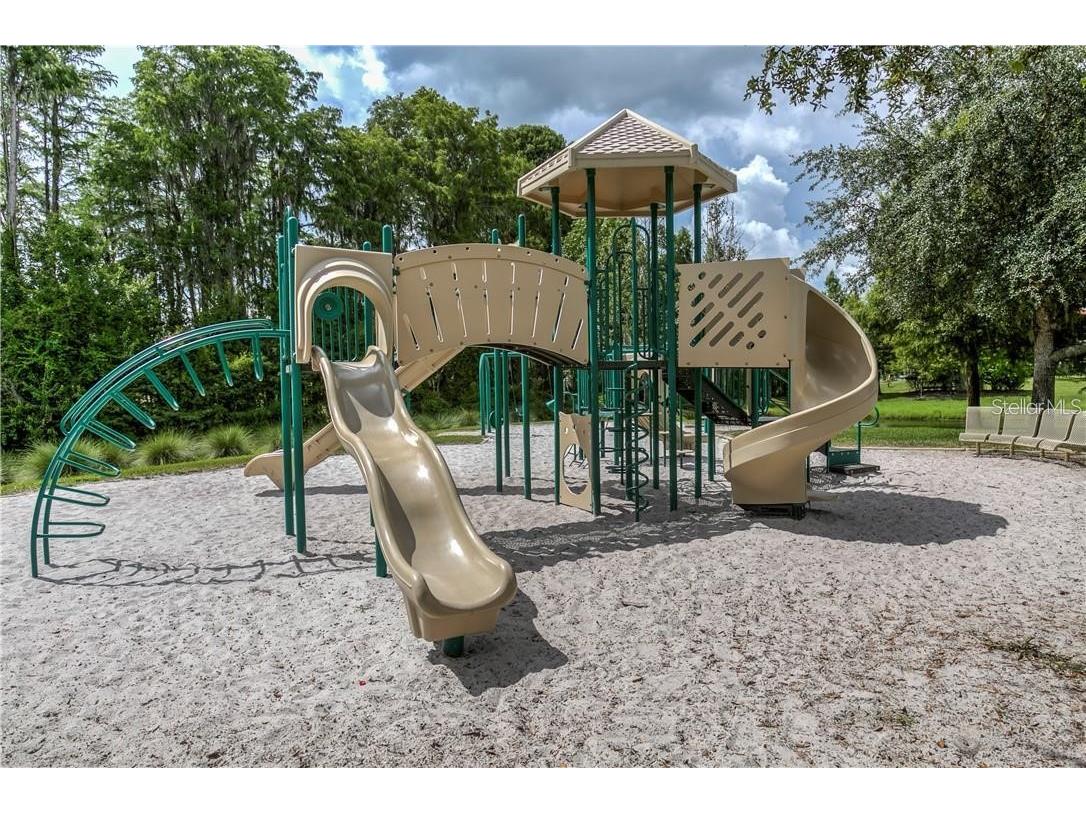 11919 Castine Street New Port Richey FL 34654 TB8509886 image39