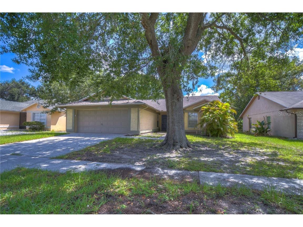 11919 Cedarfield Drive Riverview FL 33579 T3474938 image1