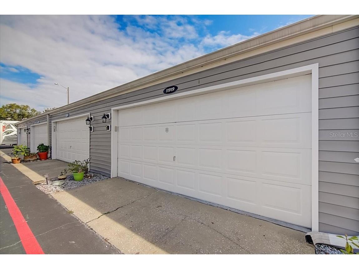 11919 Dietz Drive Tampa FL 33626 T3414401 image1